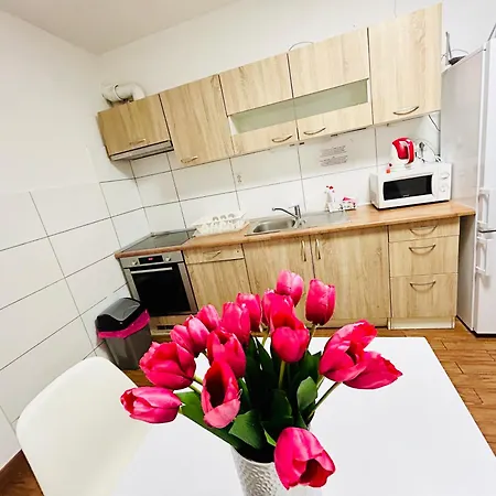 Apartament With Free Parking 5 *