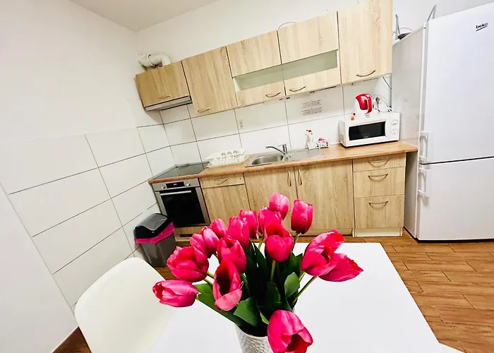 Apartment With Free Parking 5 *